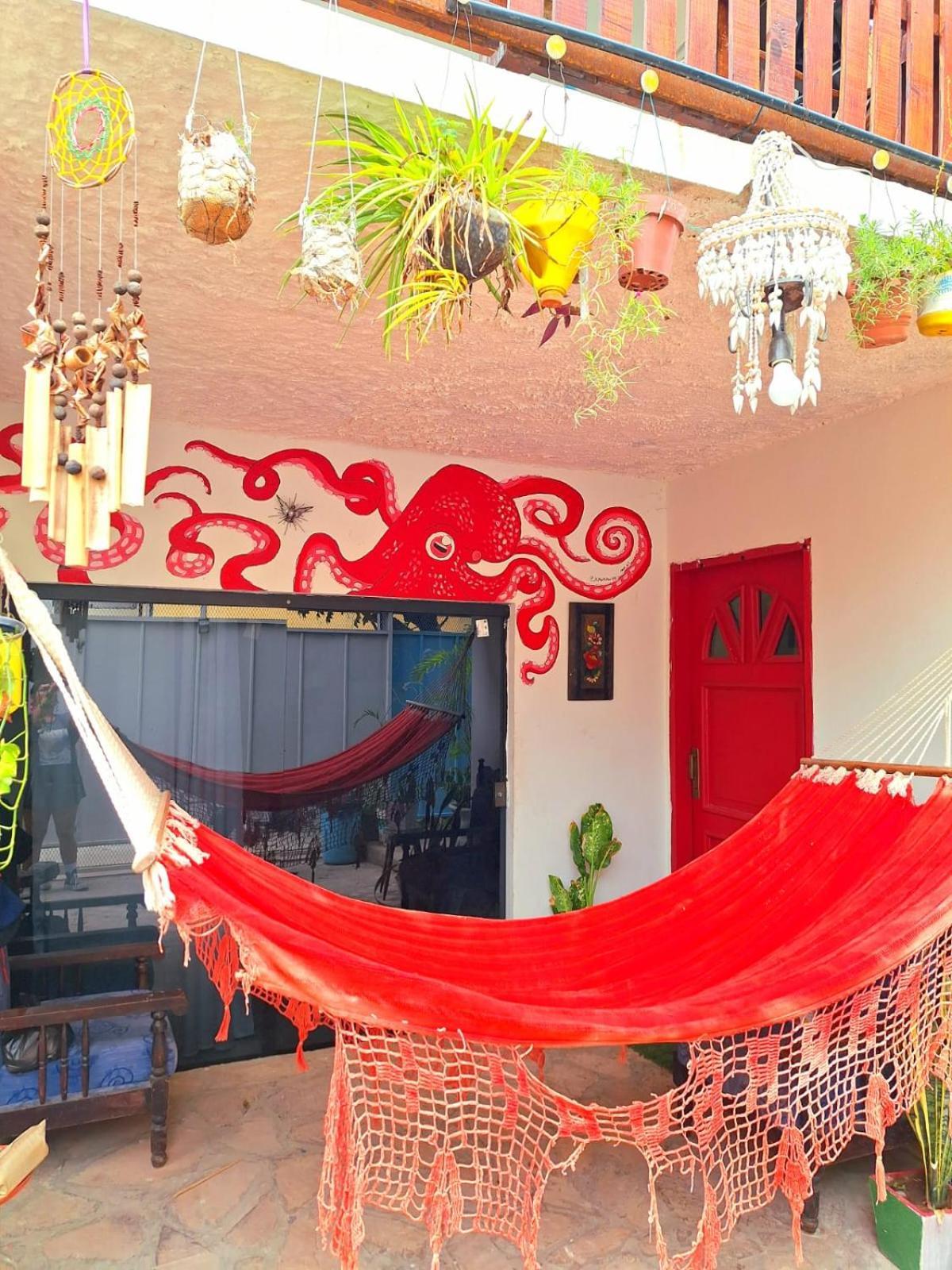 La Petite Maison De Diana Asuncion Exterior photo